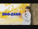 【*ふく´ Д `ざわ*】ZIGG-ZAGG  踊ってみた。【4周年】