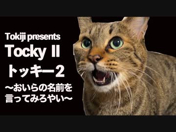 Tocky Ⅱ トッキー2 〜おいらの名前を言ってみろやい〜