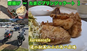 【唐揚げ～たまごプリンジェラート】 #VERSYS-X250