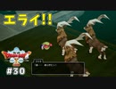 #30 【ドラゴンクエストⅩオフライン】あちこちお使いの回【目覚めし五つの種族】※ネタバレ注意