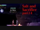 【Salt_and_Sacrifice】「穢れたオアシス」という謎の場所を発見【実況】part14