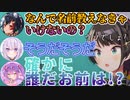 コラボ開始の自己紹介で上質なスバ虐を受けて戦う前に心を折られる大空スバルw【ホロライブ切り抜き/大神ミオ/猫又おかゆ/大空スバル/常闇トワ】