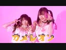 【2周年】カメレオン 踊ってみた 【おひるにたるとどうですか】