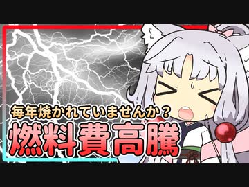 【ボイロ財テク部】活動記録#18「燃料費高騰に焼かれたイタコさんは２０２２年に電気代がいくらになったのか？」【VOICEROID解説】