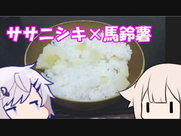 CeVキッチン8話「宮城県産ササニシキ」