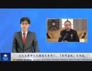文化大革命と大躍進を参考に、「共同富裕」を実施