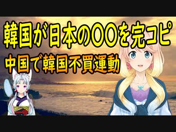 【韓国の反応】中国で韓国不買運動が勃発した結果、韓国が日本のアレを完コピ【世界の〇〇にゅーす】
