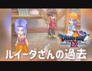 【ドラクエ9】職業斡旋をする前は？【初見プレイ】#45