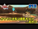 【ゼルダの伝説スカイウォードソード】空と大地と時々姫と_Part13【実況】