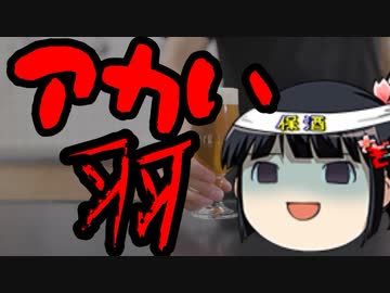 アカい羽根共同募金からcolaboやぱっぷすにお金が流ていた