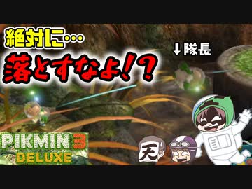 ピクミン3デラックス　＃24