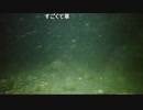 ≡ 新型 潜水ウェブカメラ × ​釣り針 ≡ 公開TEST放送(第一夜)の２分間切り抜き録画(無音)