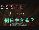 【２２８日目の７回目】ワンブロックの世界をハードコアで生き残れ！