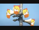 なかったので