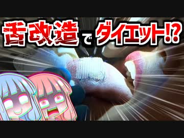 肉体改造ダイエット３選【VOICEROID解説】