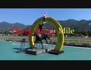 【ウマ娘風】第32回香港マイル(2022・シャティン・1600ｍ)
