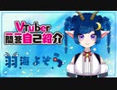 【自己紹介】Vtuber一問一答自己紹介【羽海よぞら】