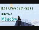 協力？人がいなくてぼっちだよ！「Meadow」字幕プレイ