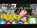Total War:WARHAMMERⅢ】とびだせ ぞうもつの森！＃３４『ゴームウィザー戦線②』
