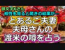 【時事占い】とあるご夫妻、夫母さんがアメリカ移住する噂を占ってみた【彩星占術】