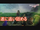遂にシャハドを追い詰める　ファイアーエムブレム無双風花雪月実況プレイPart81
