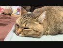 いい天気なのに…
