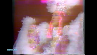 ムッシュ・パピヨン