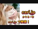 cariroom.jp　かりるーむ