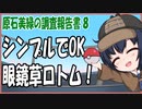 【ポケモンSV】原石美緑のポケモンSV調査報告書　第8回　草ロトム