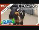 【sims4】獣医チャレンジ  #48【ゆっくり実況プレイ】