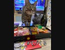 洲崎綾の「手づくるラジオ」第63回