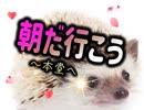 【朝勤行がお休みになってしまった時のﾊﾘｰさんの心情を歌ってみた】《朝だ行こう‥本堂へ》〜替え歌〜唄:針人(はりうど)