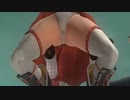 DOA５LRリョナ「特訓のつもりがサンドバッグにされる紅葉」