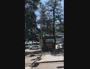 Jul.2018 Vladivostok  Russia  Traffic lights ロシア　ウラジオストク　信号機