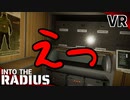 #27【IntoTheRadius】半径の中へ…【VRサバイバルホラーFPS】
