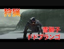 【実況】ぼっちハンターが行く！モンスターハンターXX 第22回