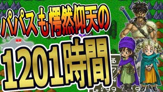 【DQ5】少年期主人公とビアンカのレベルをカンストさせて種ドーピングもりもりでゲマを倒してみた【正規プレイ】