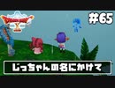 【ドラクエ10】ネット繋がってないからオフライン版で遊ぶ【初見実況】#65