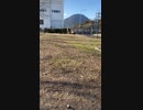 膝に犬を受けてしまってな…