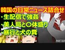 ゆっくり雑談 569回目(2023/1/14) 1989年6月4日は天安門事件の日 済州島四・三事件 保導連盟事件 ライダイハン コピノ コレコレア