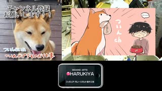 サブチャンネル開設のお知らせ（YouTube）