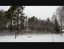 フィンランドの雪 Snow in Finland