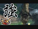 【MHXX】ゲリョスが…強い…⁉【モンスターハンターダブルクロス】part35
