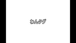 ドキドキ・ワクワーク♪わん系+タグ→わんタグ　←( ´ ・㋓・｀)何それ？の説明動画