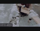 【DIY】ハプニングだらけ！初めてのDIYで木箱をリメイクしてみた