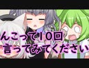 卑猥な10回クイズに困惑するずんだもん