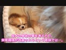 里親Caféの施設紹介（ゆっくりVer）