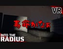#28【IntoTheRadius】半径の中へ…【VRサバイバルホラーFPS】