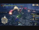 金対金の戦い【モンスターハンターライズサンブレイク】