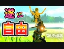 遂に序盤の台地を抜け出して自由に動き回れた…！【ブレワイ BotW】裏技 バグ 検証 ゆっくり実況 glitch